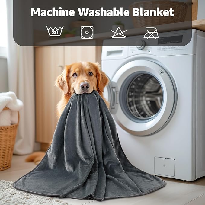 LOOBANI Waterproof Blanket for Bed: Reversible Soft Flannel Queen Bed Blanket 80" x 90", Waterproof Dog Blankets for Large Dogs, Spill-Proof Cover for Furniture Protection, Movie Time, Grey