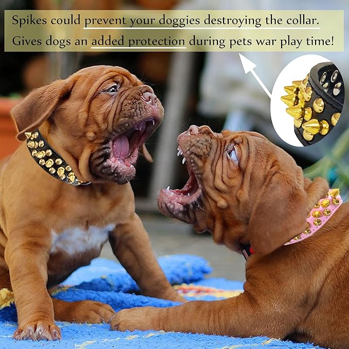 TEEMERRYCA Black Leather Dog Collar with Gold Spikes for Boy Small Medium Large Pets,Pit Bulls/Bulldog, Keep Dog Safe from Grabbing by Huge Dogs,XS(8.3"-10.6")
