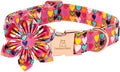 Lionheart glory Easter Dog Collar with Flower Carrot Print Dog Collar Girl Soft Durable Adjustable Collar Flower Spring Collar Dog Bow for Large Dogs