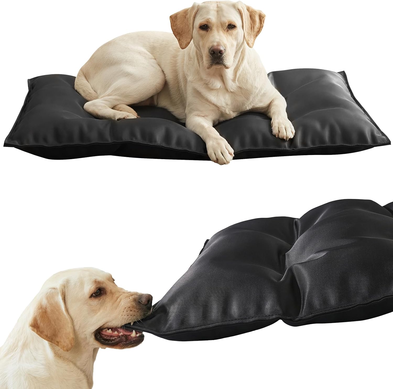Chew Proof Dog Bed Crate Pad for Aggressive Chewers, 17"x23" | Indestructible Dog Bed, Kennel Mat, Heavy Duty, Tough & Durable, Waterproof, Machine Washable, Indoor & Outdoor,Black,X-Small