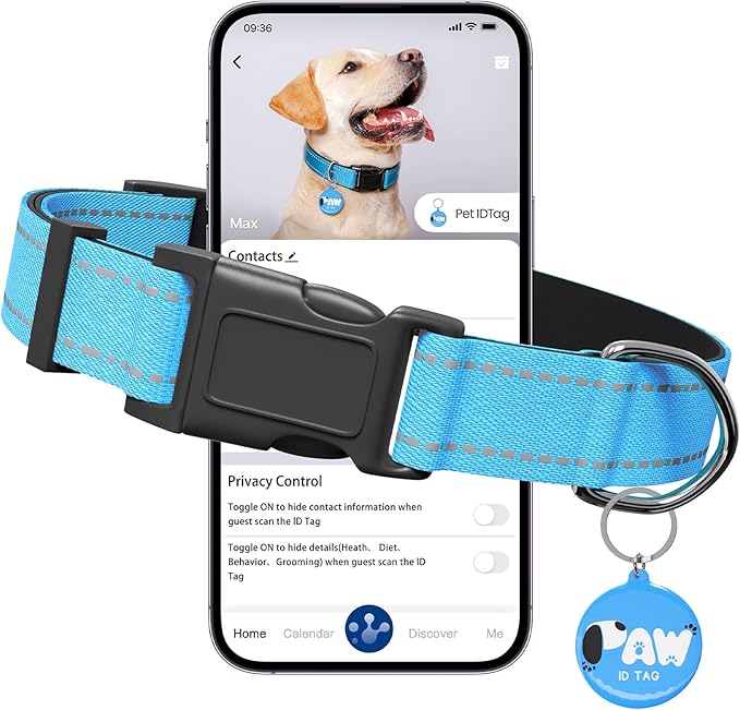 Reflective Dog Collar for Extra Small Dogs with Dog Tags Personalized & Quick Release Buckle, Adjustable and Comfortable Nylon Pet Collar, Blue