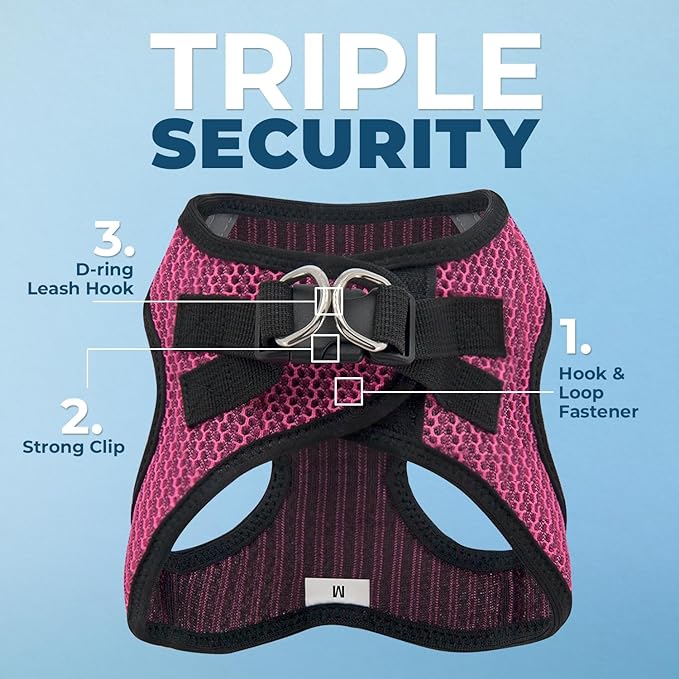 Best Pet Supplies Voyager Step-in Air Harness - All Weather Mesh, Reflective, No Pull Harness for Dogs, Cats - Secure with Hook & Loop Fastener, Buckle, Double D-Rings - Fuchsia 2-Tone, S
