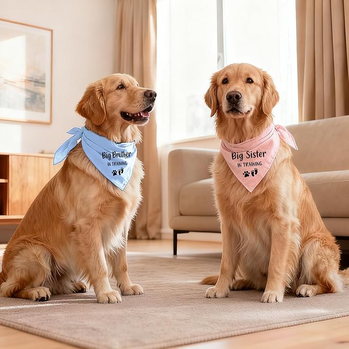 2 Pack Dog Bandana Pregnancy Announcement, Big Brother Sister in Training Gender Reveal Puppy Dog Scarf Accessories, Adjustable Pet Bandana Scarf for Small Medium Large Dogs