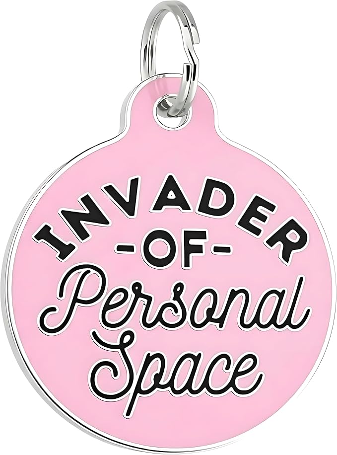 Bad Tags Personalized Dog and Cat ID Tags in 25+ Designs and 2 Sizes - 5 Lines of Custom Engraved Text - Funny Cute Personalized Pet Tags (Invader of Personal Space - Pink, Large (1.25 inch))