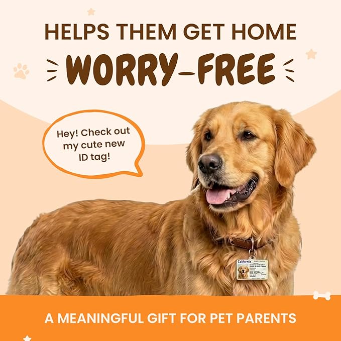 PawFurEver Personalized Dog Driver License ID Tag for Dogs & Cats - Custom Pet License Dog ID Tags Personalized Heavy Duty with Name, Photo & Phone Number, 50 States + DC (DC, Tag)