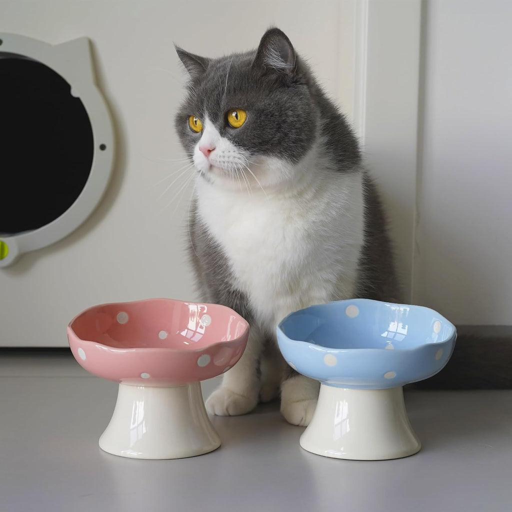 Pink and Blue Mushroom Cat Bowl Set,2PCS Elevated Ceramic Bowls for Cats | Cute Design, Elevated, Ceramic, Whisker Friendly, Dishwasher Safe
