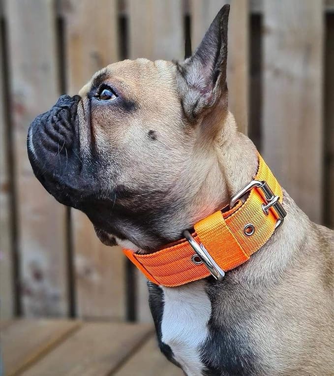 Heavy Duty Tactical Dog Collar - 1.5" Width Military Durable Thick Nylon with Adjustable Metal D Ring & Buckle Working Training K9 Collar for Medium Large Dogs (L(20"-23"), Orange)