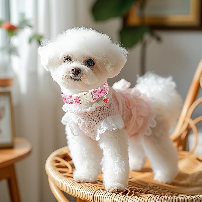 Strawberry Bow Dog Collar for Giant Large Dogs - Cute Pink Spring/Summer Girl Dog Collars, Lightweight Adjustable Female Girly Dogs Collars with Quick Release Buckle XL