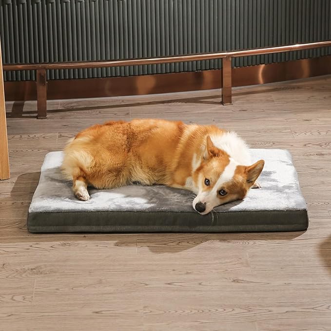 Amazon Basics Washable Dog Bed with Cooling Gel Memory Foam, Pressure-Relief Support for Dogs up to 50lbs, Non-Slip Bottom, Removable Cover, Large (35" x 22"), Grey