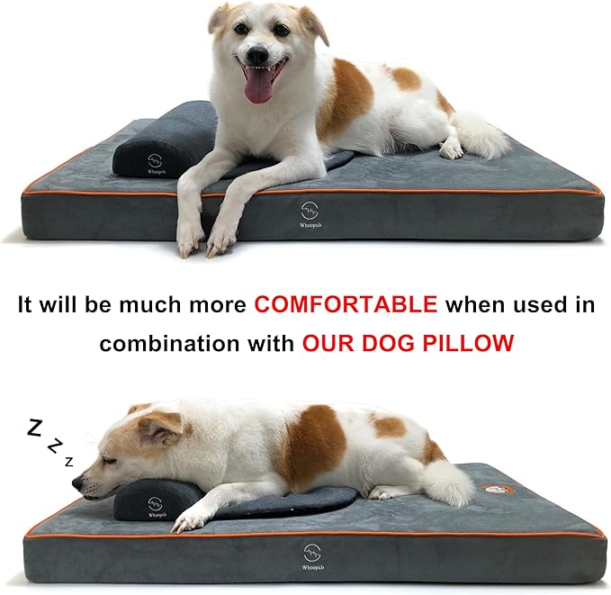 Hard-Wearing Orthopedic Dog Bed for Crate, 41x27 Inch, Made of Memory and HR Foam, Two-Sided Use, Providing Soft and Relatively Hard Support, with an Extra Inner Waterproof Protector (Gray)