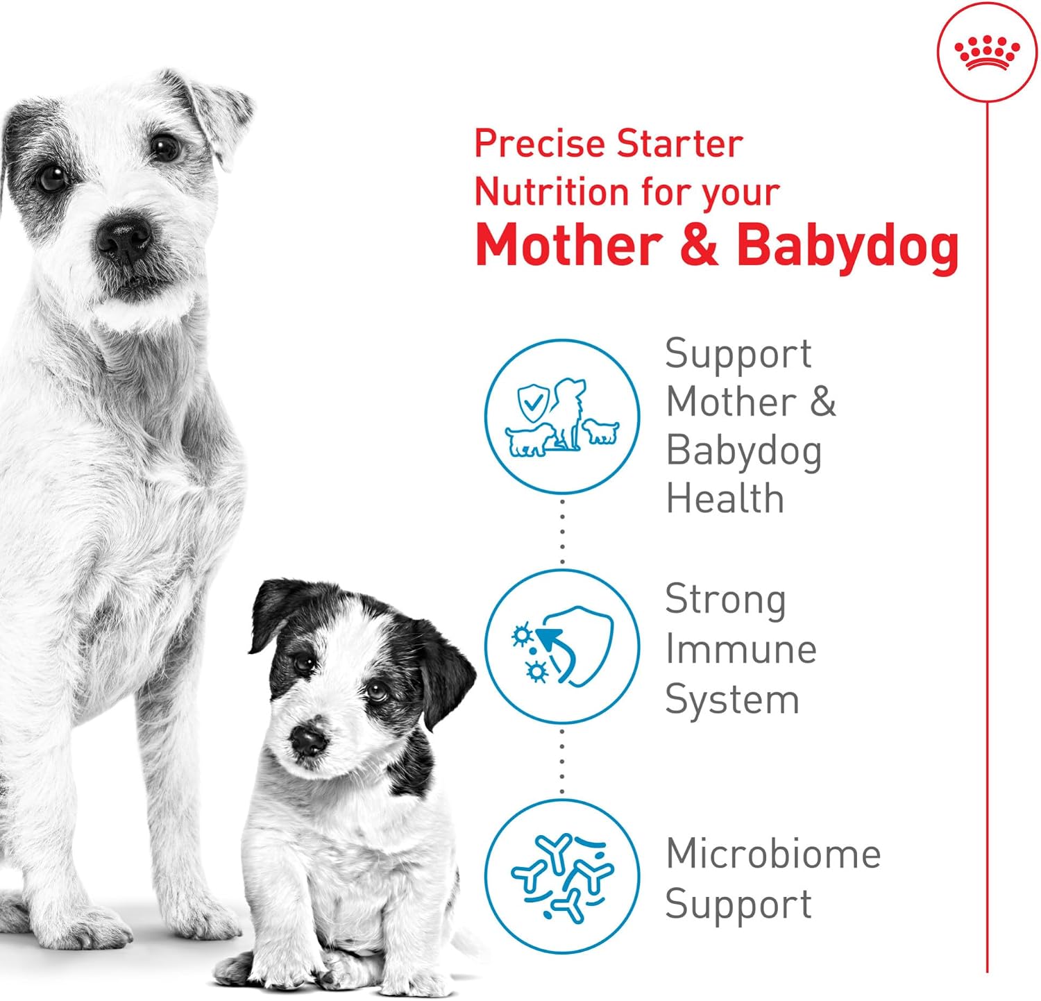 ROYAL CANIN Size Health Nutrition Small Starter Mother & Babydog Dry Dog Food, 2.5 lb Bag