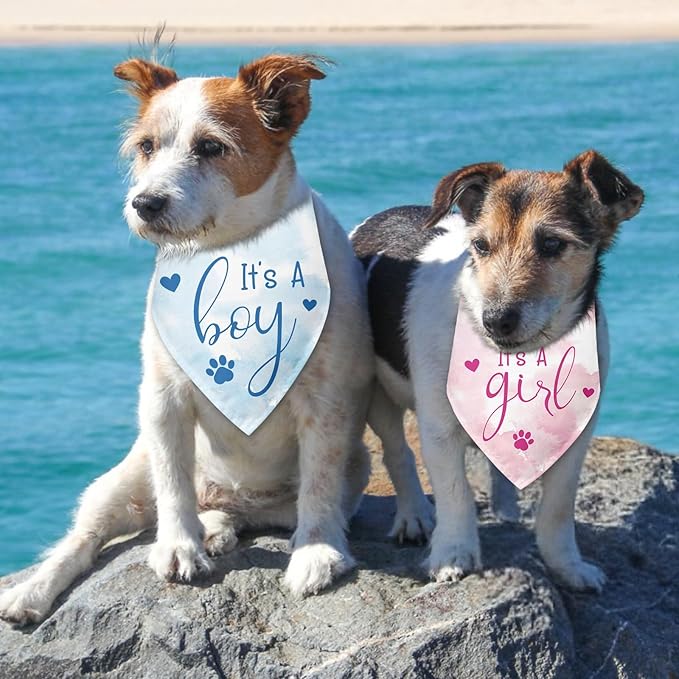 2 Packs It's a Boy and It's a Girl Gender Reveal Dog Bandana Baby Announcement Pet Triangle Scarf Accessories Pink and Blue Dog Bandana for Small Medium Large Dogs Cats