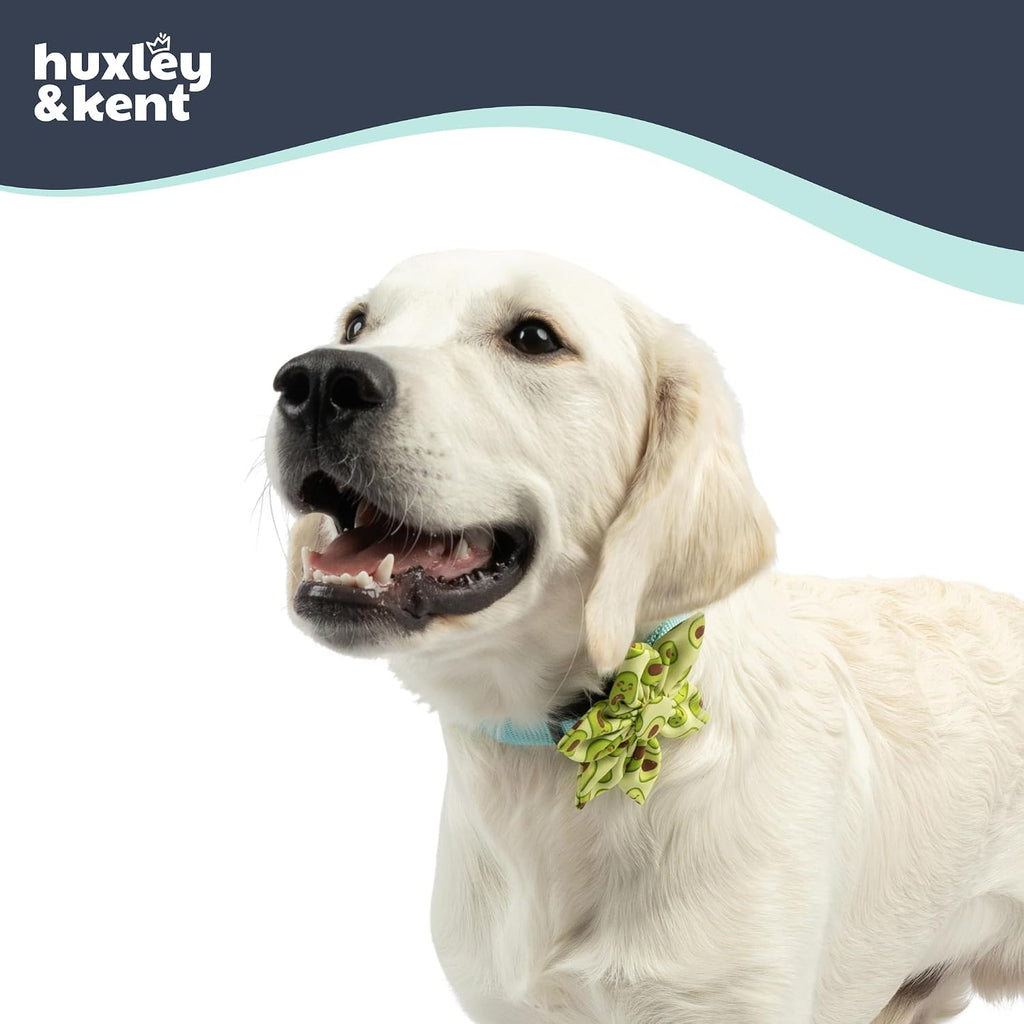 Huxley & Kent Pinwheel Collar Bow for Dogs & Cats, Happy Avocados, Small | Clips to Any Collar with Hook & Loop, Soft, Lightweight, Machine Washable, Great for Holidays, Photos & Gifting