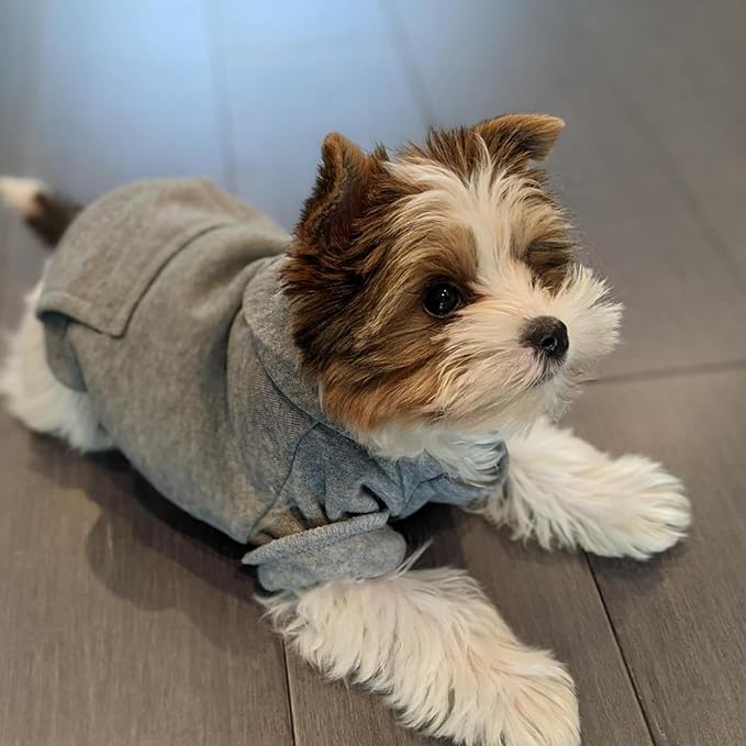 Jecikelon Winter Dog Hoodie Sweatshirts with Pockets Warm Dog Clothes for Small Dogs Chihuahua Coat Clothing Puppy Cat Custume (Grey, Small)