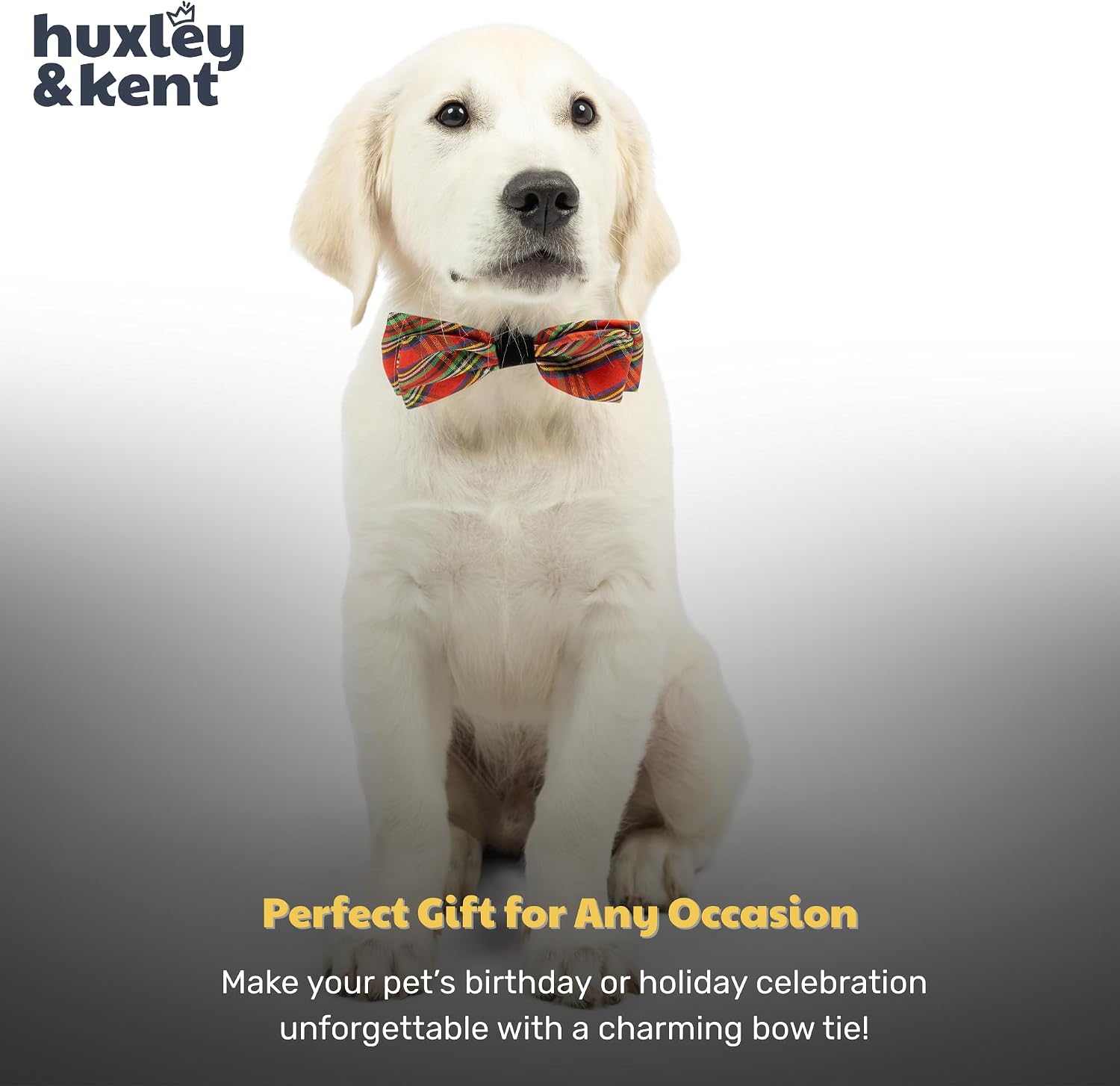 Huxley & Kent Pet Bow Tie for Dogs & Cats - Holiday Adjustable Hook & Loop Collar Accessory - Cute & Comfortable for Holidays & Celebrations - Christmas Plaid, Large | Hook & Loop Attaches to Any Collar, Soft Polyester, Lightweight & Machine Washable