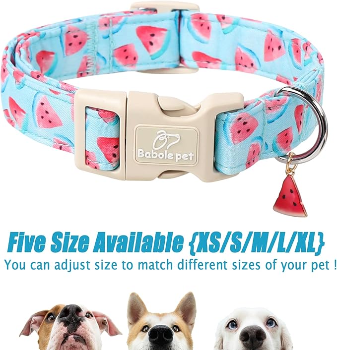 Adjustable Summer Dog Collar, Cute Watermelon Dog Collars for Medium Dogs, Lightweight Quick-Release Buckle Collar for Boy&Girl Dogs M