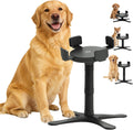 Raised Food Bowl for Dogs,Tilted Pet Feeder Stand,Non Slip Dog Bowls Stand,Dog Food Bowl Stand，for Small Medium Dogs,Adjustable for 5.5"-9.6" Bowls，Heavy-Duty Plastic，(Black, 1-Pack)
