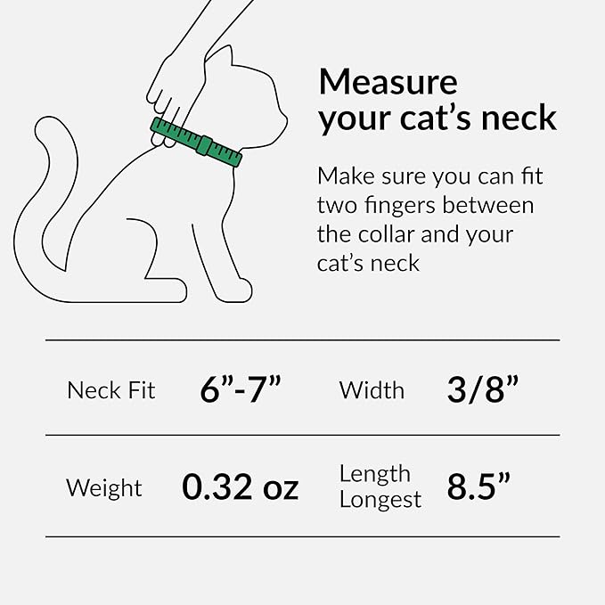 CollarDirect Leather Cat Collar with Bell - Kitten Collar, Small and Big Cat Collar for Boy Cats, Girl Cats with Safety Elastic Strap (Neck Fit 6"-7", Red)