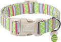 Easter Dog Collar for Medium Dogs - Brightly Colored Stripe Easter Collars for Boy Girl Dogs, Adjustable Spring Holiday Pet Collars with Quick Release Buckle M