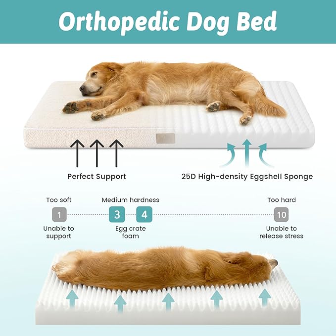Dog Bed for Extra Large Dogs, Rectangular XL Orthopedic Dog Beds, Foam Anti-Slip Bottom Pet Mat with Washable Removable Cover, Suitable for Pet Up to 100 lbs, 44x32x3 inch, Bed