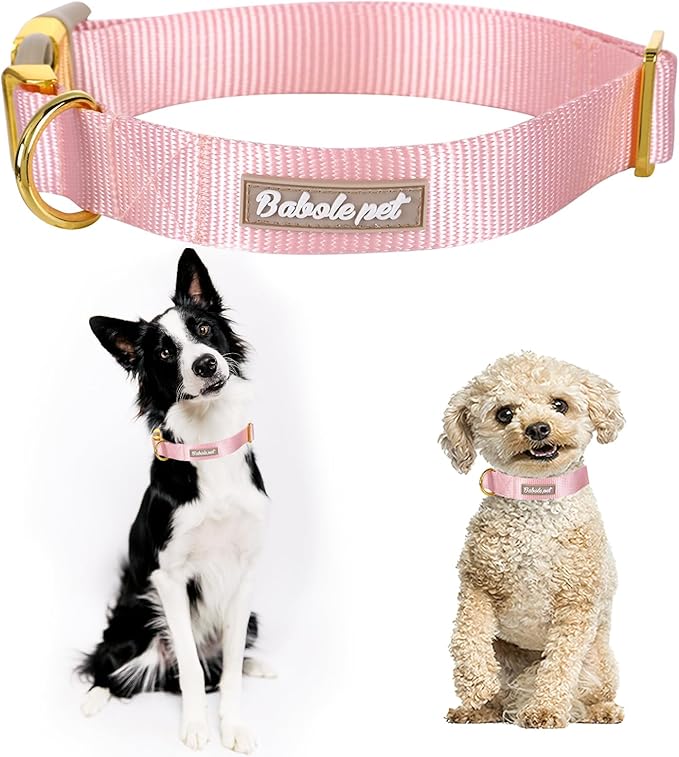 Nylon Dog Collar - Adjustable Pink Soft Webbing Dog Collars for Small Medium Large Dogs Boy Girl Puppy Collar with Safety Metal Buckle M