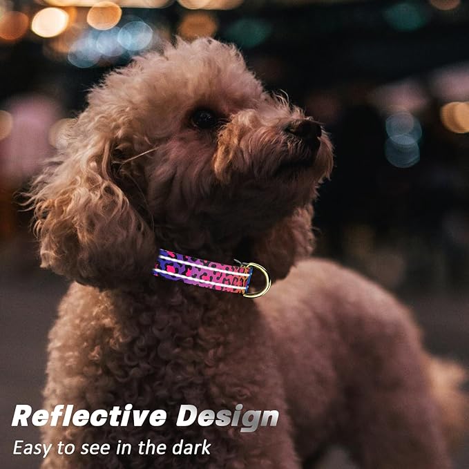 Reflective Dog Collar for Medium Dogs, Cute Leopard Style Adjustable Heavy-Duty Nylon Puppy Collar for Boy and Girl Female, Soft Pet Accessories with Quick Release Buckle, Neon