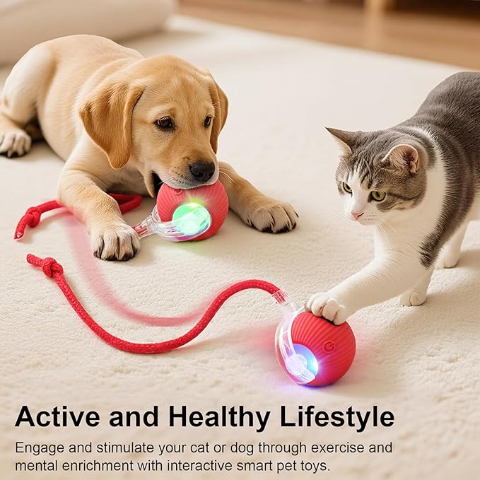 Interactive Electric Automatic Rolling Moving USB Rechargeable Self Activated Play Stimulation Toy Smart Chase Teaser Ball with Speedy Tail Rope for Bored Adult Indoor Cats and Dogs, Red
