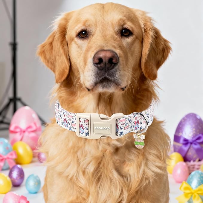 DOGWONG Cute Easter Egg Dog Collar, Adjustable Soft Egg Pet Collar for Small Medium Large Dogs,L Visit The Elegant Little Tail Store