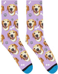 DivvyUp Socks - Custom Dog Socks - Put Your Dog on Socks! (Large, Lavender)