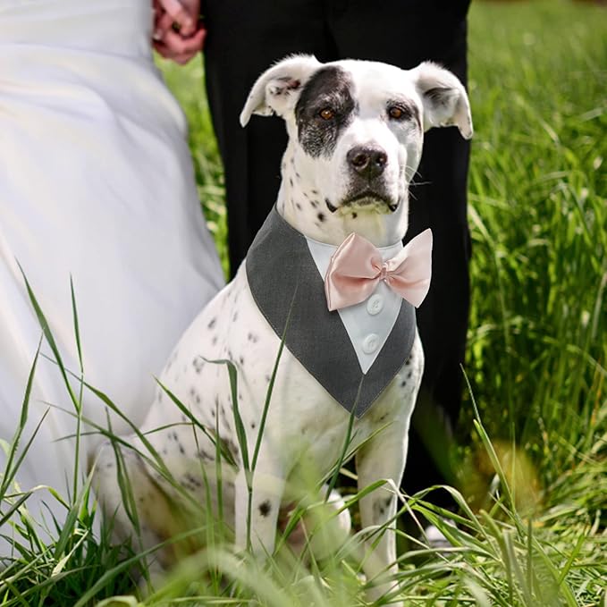 FUAMEY Dog Tuxedo for Medium Dogs,Dog Formal Suit Dogs Attire Pet Bow Tie Puppy Party Costumes Cat Tux Outfits Pets Bandana Cosplay Adjustable Bowties Wedding Birthday Valentines Grey M