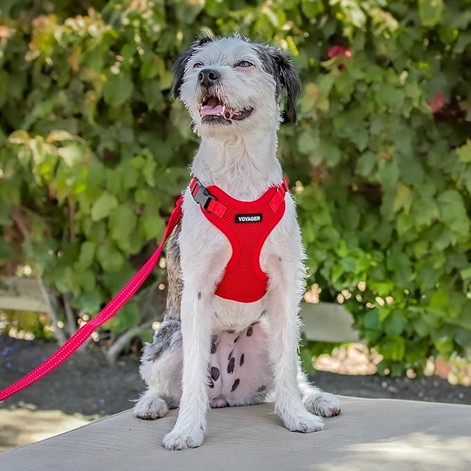 Voyager Step-in Pet Harness - All Weather Mesh, Adjustable Step in Harness for Cats and Dogs by Best Pet Supplies - Red, M