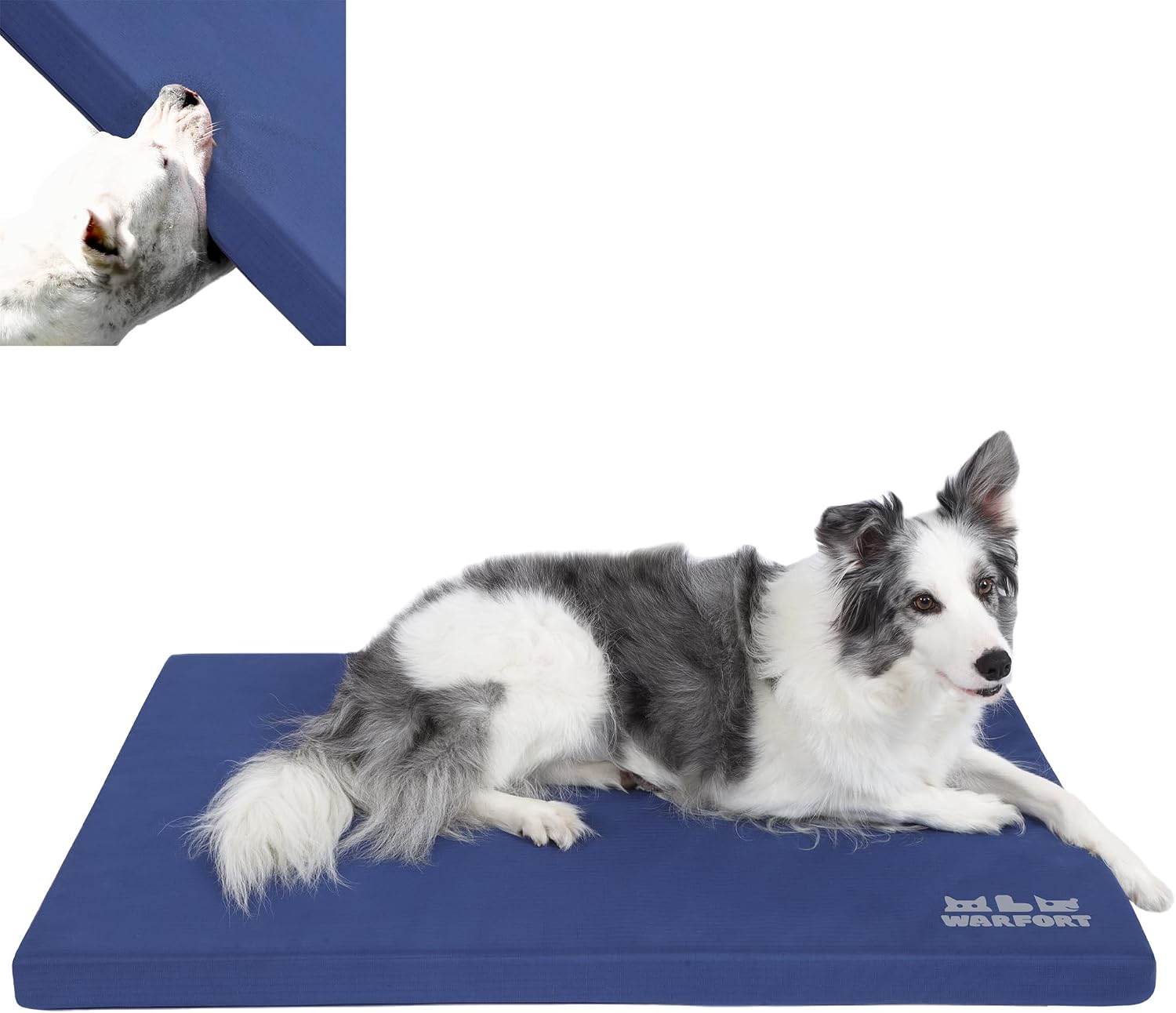 Durable Outdoor Dog Bed Chew Proof Stable Crate Mat Indoor cat Bed Anti Mild Bite Kennel Pad with Removable Fully Waterproof Cover (Blue, Medium(30x19x1.5in))