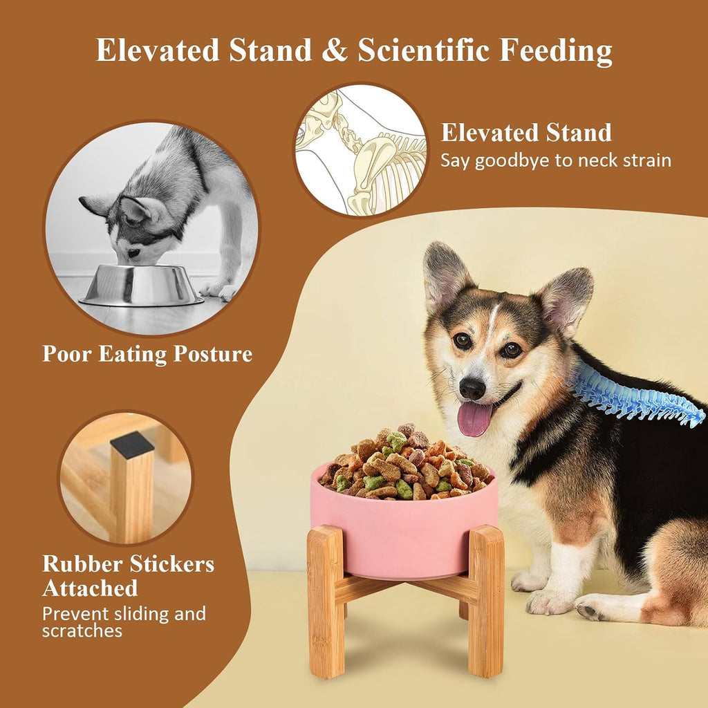 Ceramic Elevated Raised Cat Bowl with Wood Stand No Spill Pet Food Water Feeder Cats Small Dogs