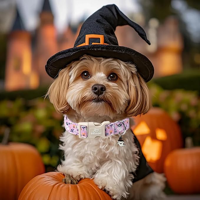 Halloween Dog Collar Cute Wizard Ghost Puppy Collar - Light Comfortable Adjustable Pet Collars for Small Medium Large Girl Boy Dogs L