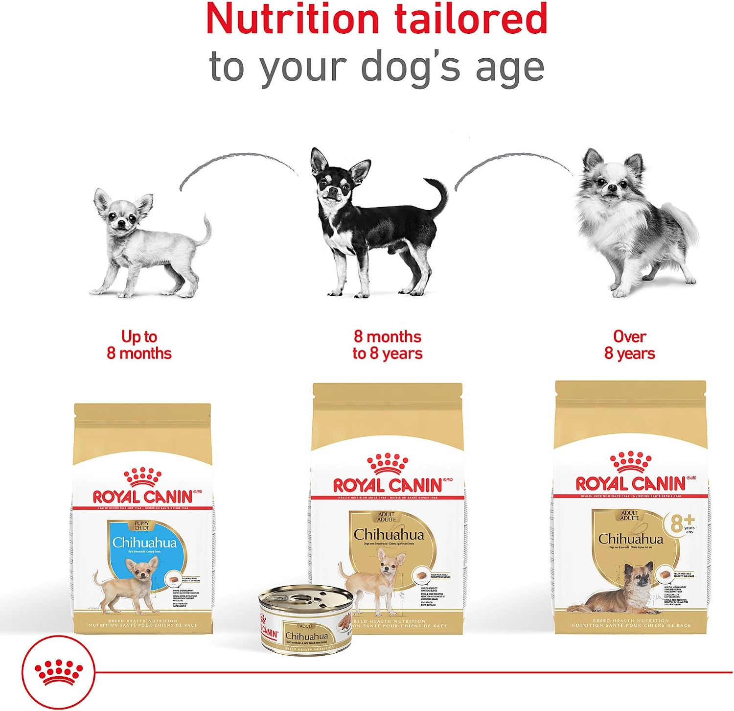 ROYAL CANIN Chihuahua 8+ Adult Dry Dog Food, 2.5 lb Bag | Healthy Aging Support, Heart Health with Taurine & DHA, For Adult Chihuahuas 8+ Years, Rehydratable Kibble