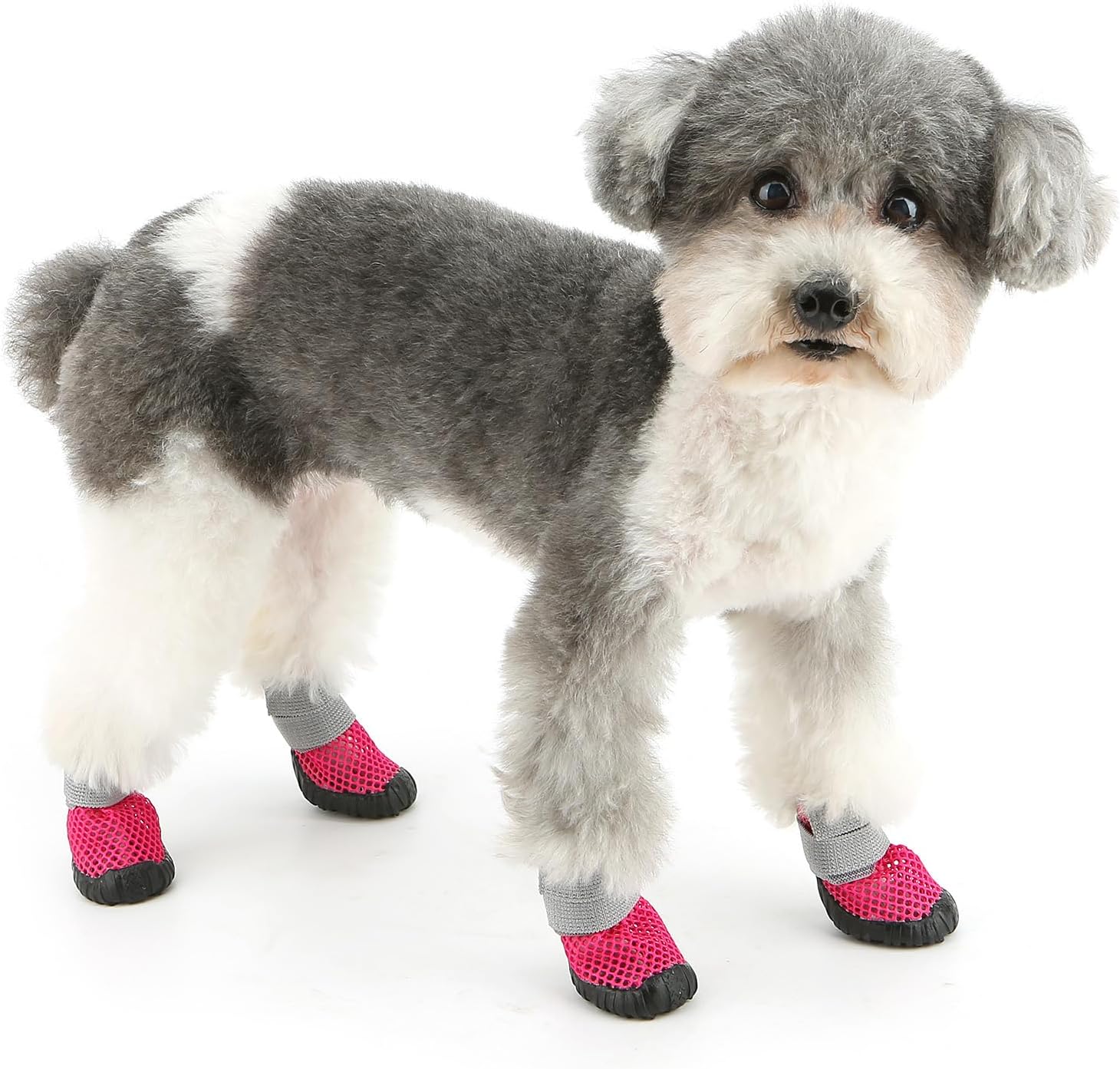 Zunea Small Dog Shoes Summer Mesh Puppy Boots for Hot Pavement Pink, 1 | Breathable, Adjustable Strap, Anti-Slip Rubber Sole, Paw Protectors, Outdoor Walks, for Pet Small Dogs Doggie Chihuahua