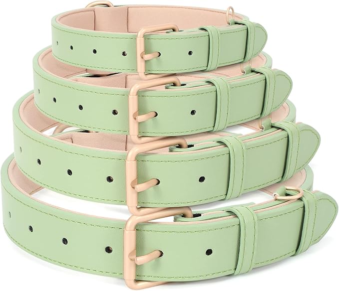 WHIPPY Leather Dog Collar for Small Medium Large Dog Adjustable Soft Breathable Leather Padded Puppy Collar with Alloy Buckle Heavy Duty Waterproof Classic Dog Pet Collar,Green