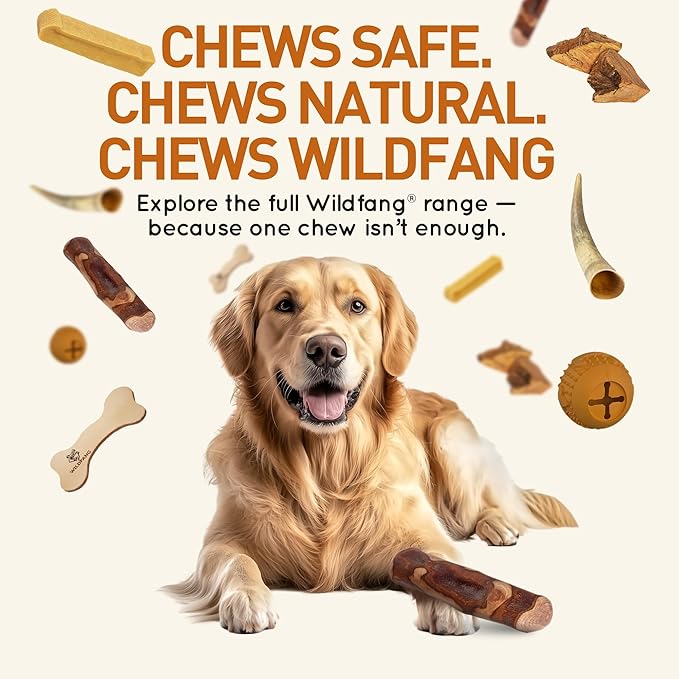 Wildfang® Olive Wood Chewing Sticks for Dogs, Large - Tough Chew Toys for Aggressive Chewers, Puppy Chew Toys for Teething, Training for Chewing Muscles, Olive Wood Stick for Dog (Over 55lbs)