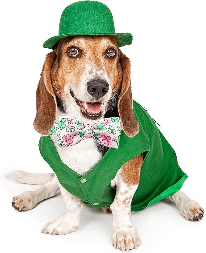 Lionheart glory Dog Bow Collar St. Patrick's Day Dog Collar for Large Dogs, Adjustable Green Collars Lucky Clover Shamrock Dog Collar with Bowtie Pet Collar Bows