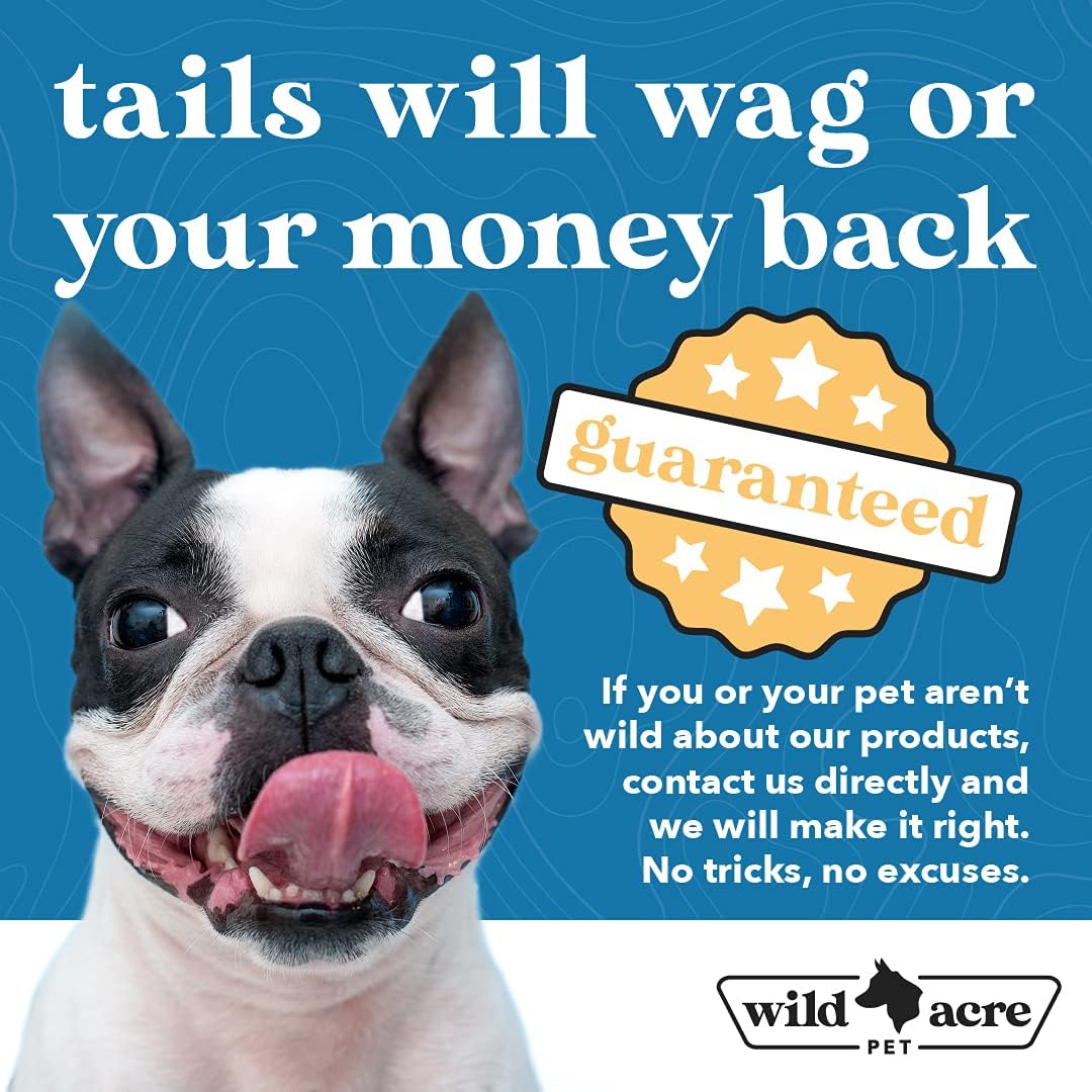Maximum Strength Paw Balm for Dogs - All Weather Paw Protector for Snow, Sand, Pavement, Lawn Chemicals and More - Soothing Paw Balm with Easy Stick Application, 2.65oz Value Size