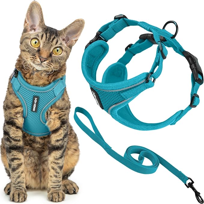 Voyager Escape-Proof Step-in Lock Cat Harness & 5ft Neoprene-Handle Leash Set All-Weather Mesh with Reflective Stitching for Small to Large Cats by Best Pet Supplies, Turquoise (327), XXXS
