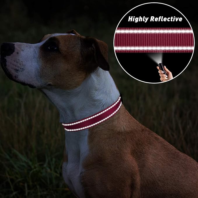 TagME Reflective Nylon Dog Collars, Adjustable Classic Pet Collar with Quick Release Buckle for Small Dogs, Hot Pink, 3/4" Width