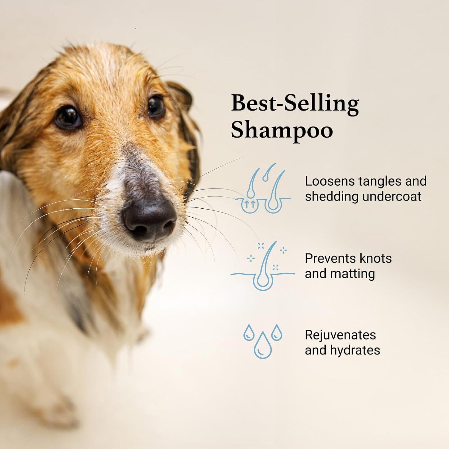 iGroom Deshedding & Detangling Dog Shampoo, Luxury Pet Beauty Care, Loosen Tangles + Unwanted Undercoat, Adds Shine + Volume, Made in USA (16 OZ)