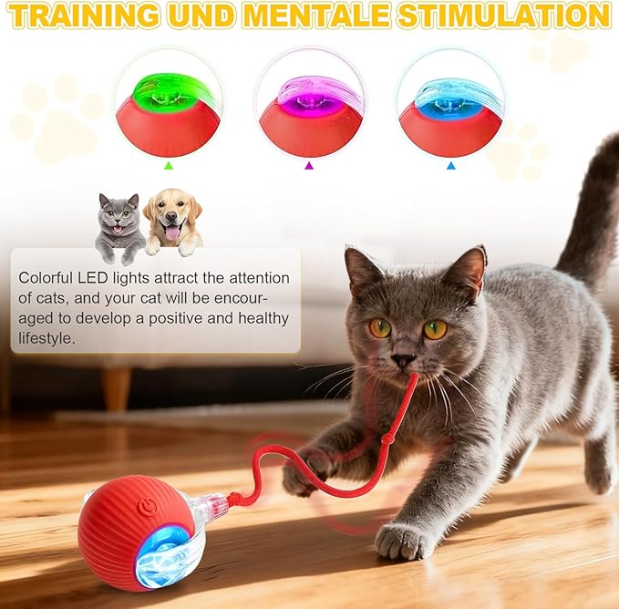 2-Pack Interactive Cat Toys Ball for indoor Cats＆Dog,Automatic Cat Toy 360° Auto-Rotation Smart Obstacle Avoidance,Includes 4 Cat Spiral Spring,Cat Enrichment Toys for Indoor Cats (Red-Green)