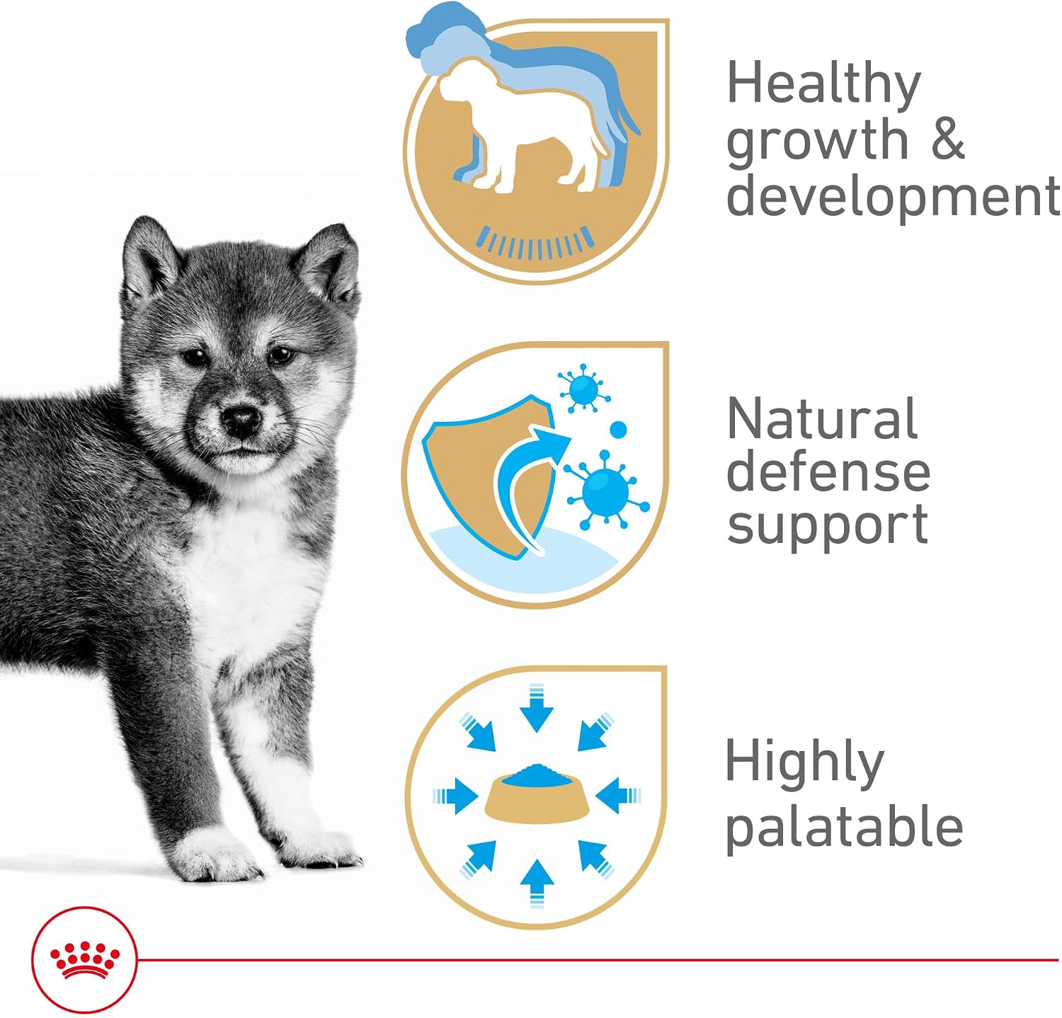ROYAL CANIN Canine Health Nutrition Puppy Loaf in Sauce Dog Food, 5.2 oz (Pack of 12)