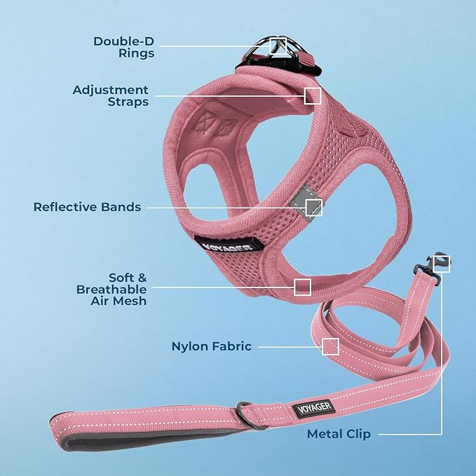 Best Pet Supplies Voyager Step-in Air All Weather Mesh Harness and Reflective Dog 5 ft Leash Combo with Neoprene Handle, for Small, Medium and Large Breed Puppies - Harness Leash Set (Pink), XXS
