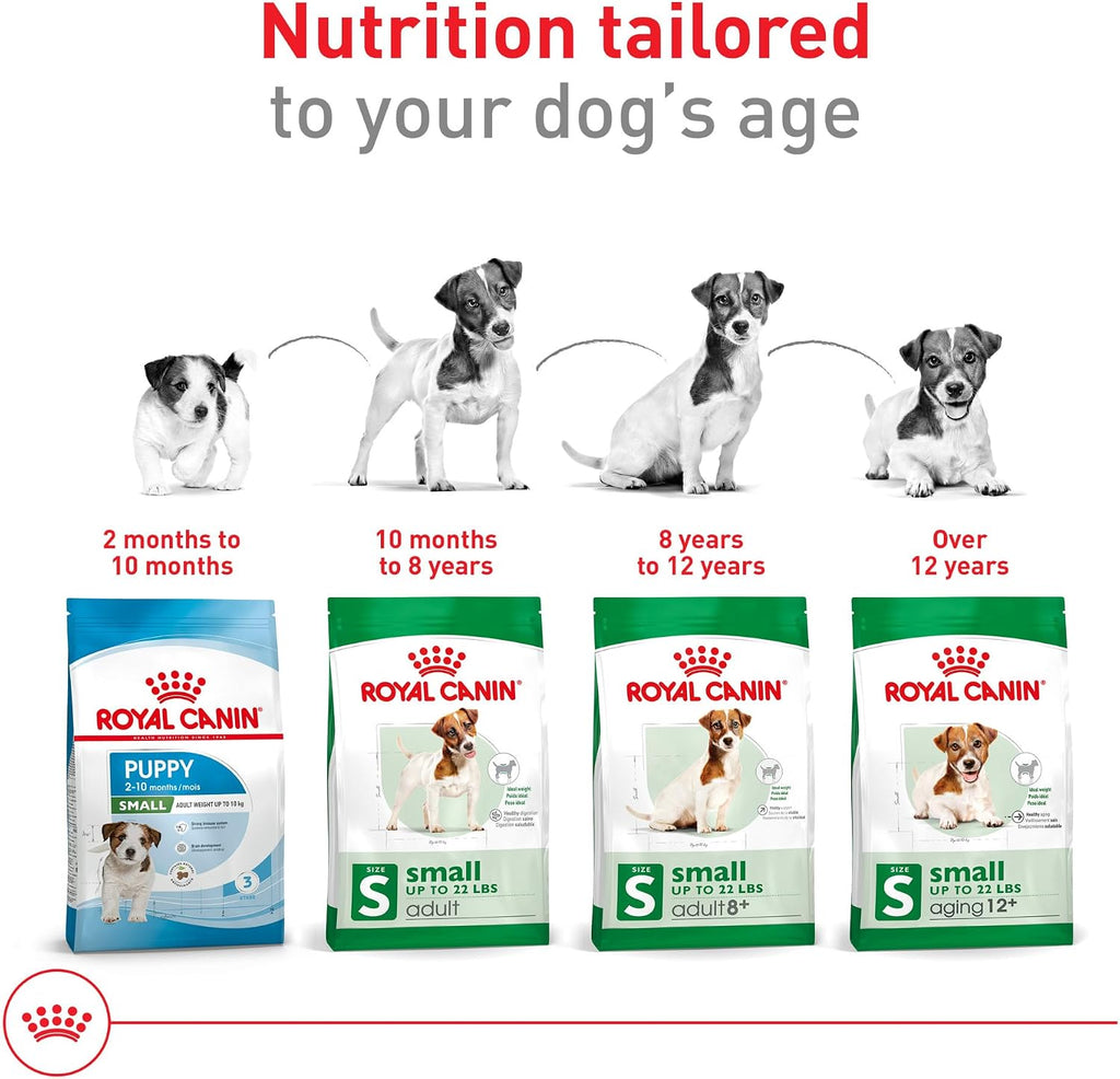Royal Canin Size Health Nutrition Small Adult Dry Dog Food, 4 lb. Bag