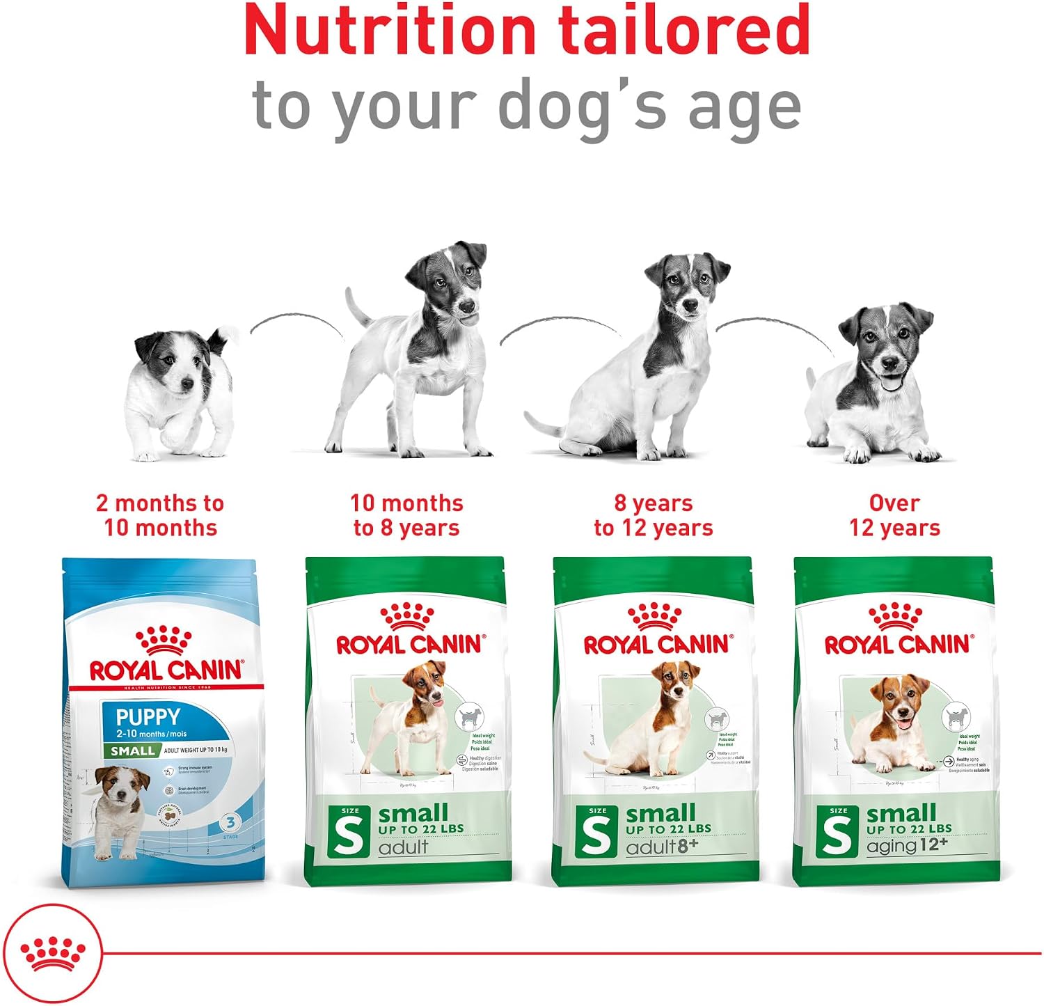 Royal Canin Size Health Nutrition Small Adult Dry Dog Food, 4 lb. Bag