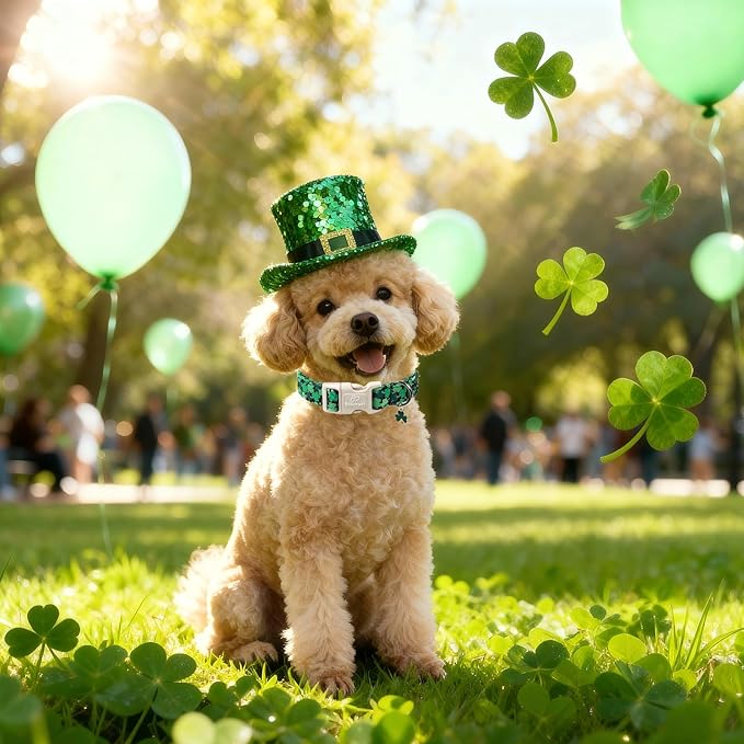 St Patricks Day Dog Collar for Small Dogs - Green Lucky Clover Dog Collars, Lightweight Adjustable Irish Festival Shamrock Dogs Collars with Quick Release Buckle S