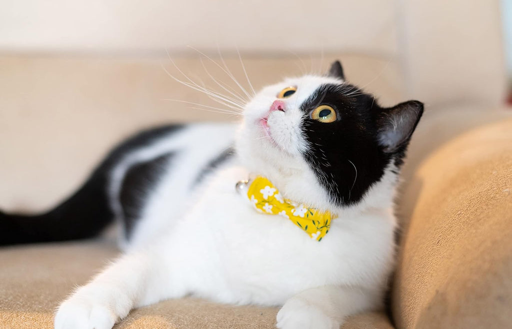 Cat Collar with Bow Tie Bell Breakaway Bowtie 2pcs Set Spring Plaid Flower Floral Solid Boy Girl Cute Kitten Safety A Yellow Flower & Plaid